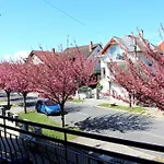 Anett Apartament *